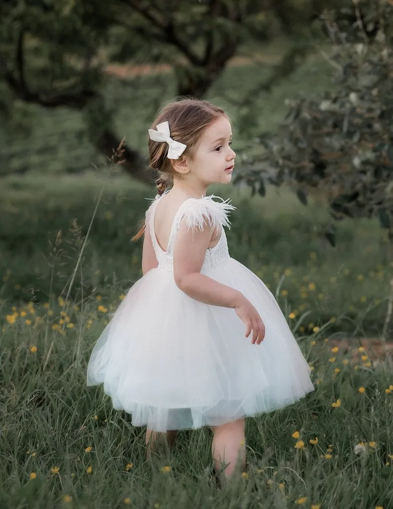 Angelina Feather & Lace Gown