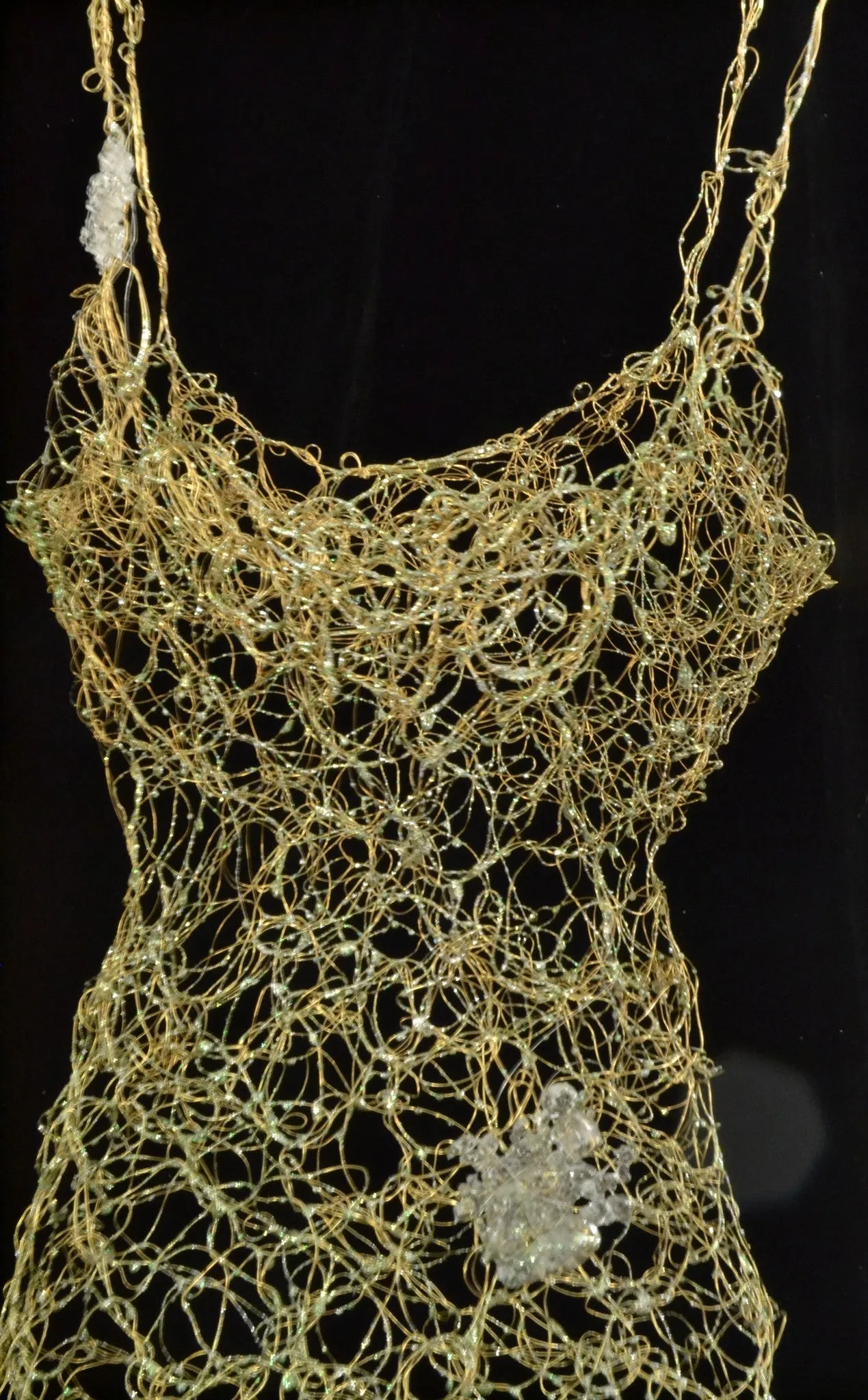 Auri Ptilo (Gold Feather)