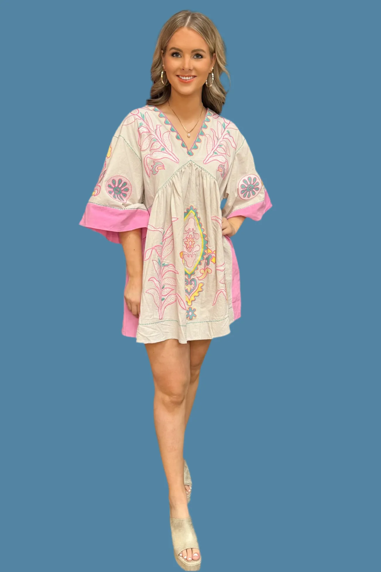 Floral Embroidered V-Neck Mini Dress