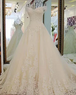 Gorgeous 2018 Ball Gown Wedding Dresses with Long Train Sparkly Lace Wedding Gowns Beaded