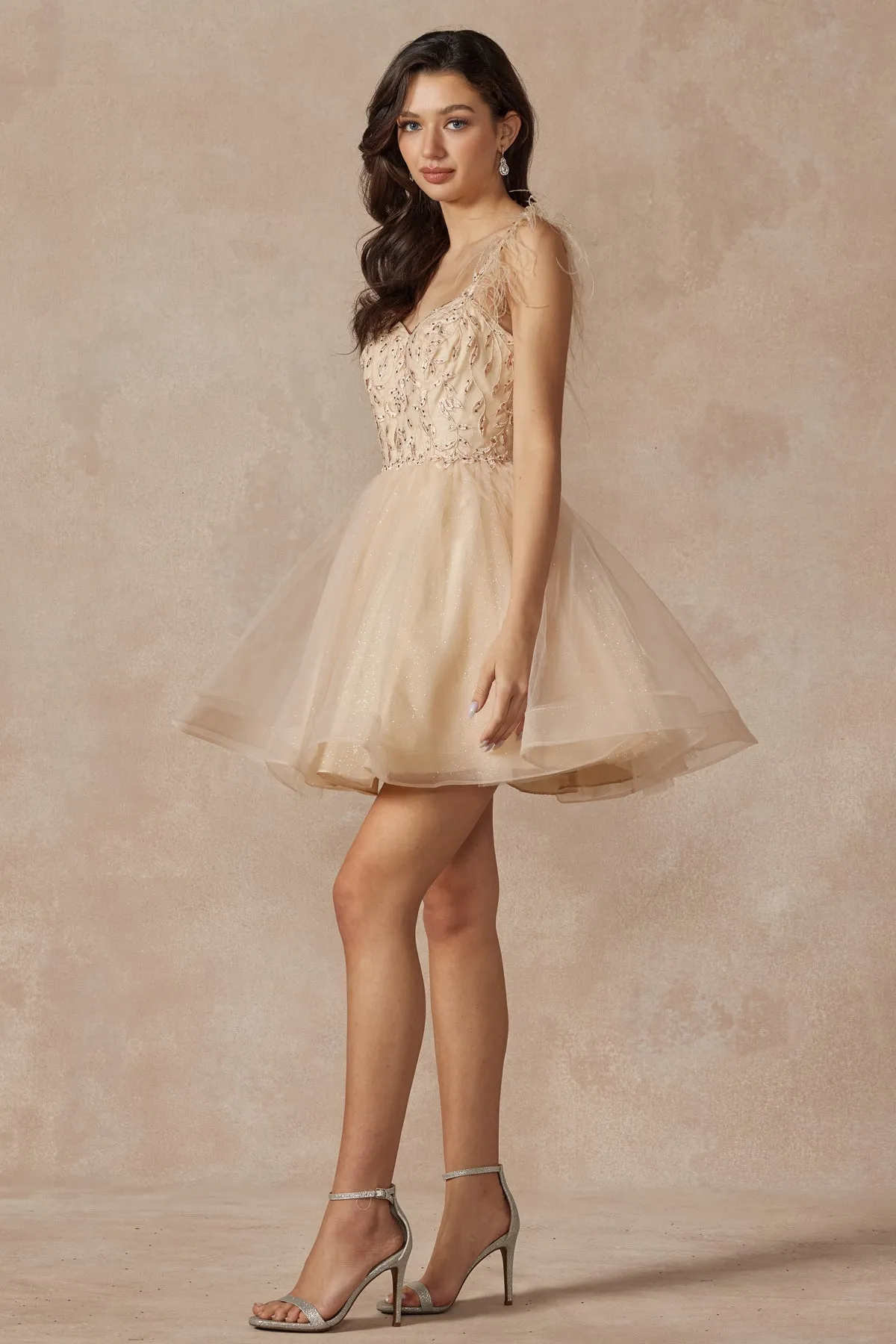 Juliet Collection 881