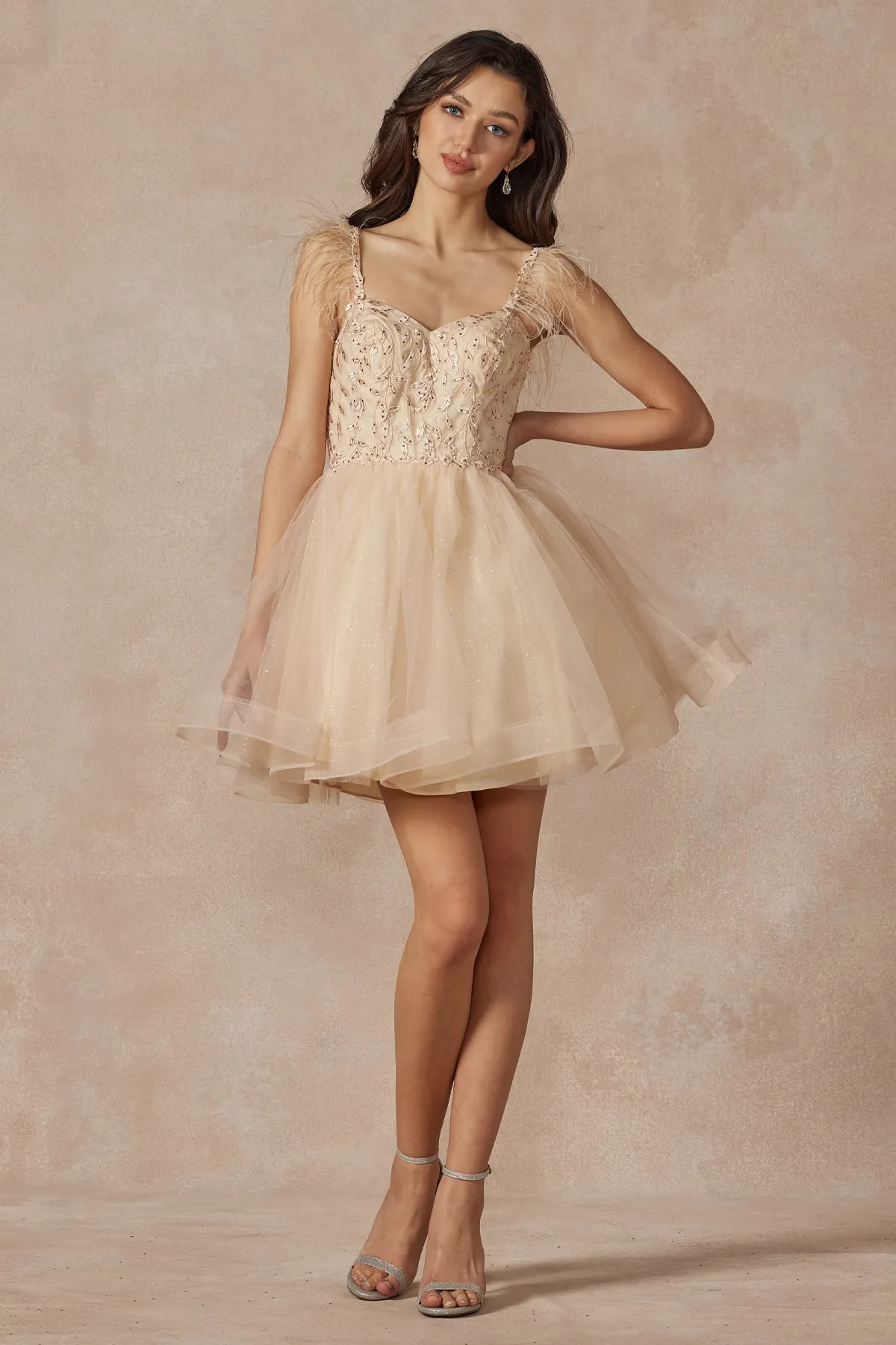 Juliet Collection 881