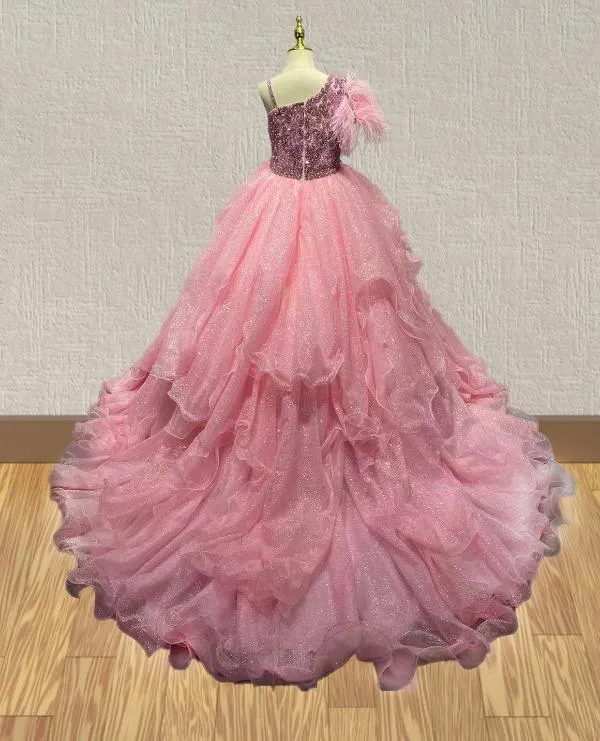 Little Princess Pink Glitter Pageant Dress with Feather