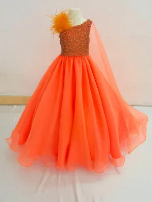 Miss Teens Gorgeous Sparkly Evening Gown with Feather