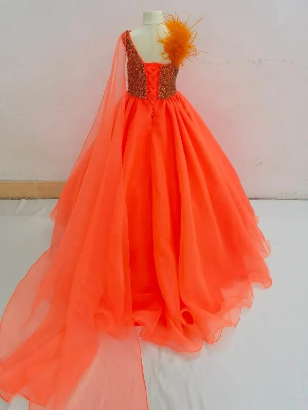 Miss Teens Gorgeous Sparkly Evening Gown with Feather