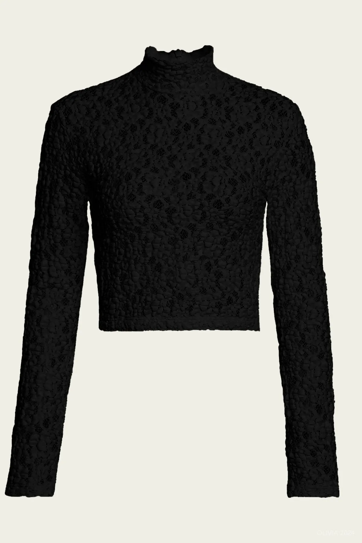Puckered Lace Cropped Mockneck
