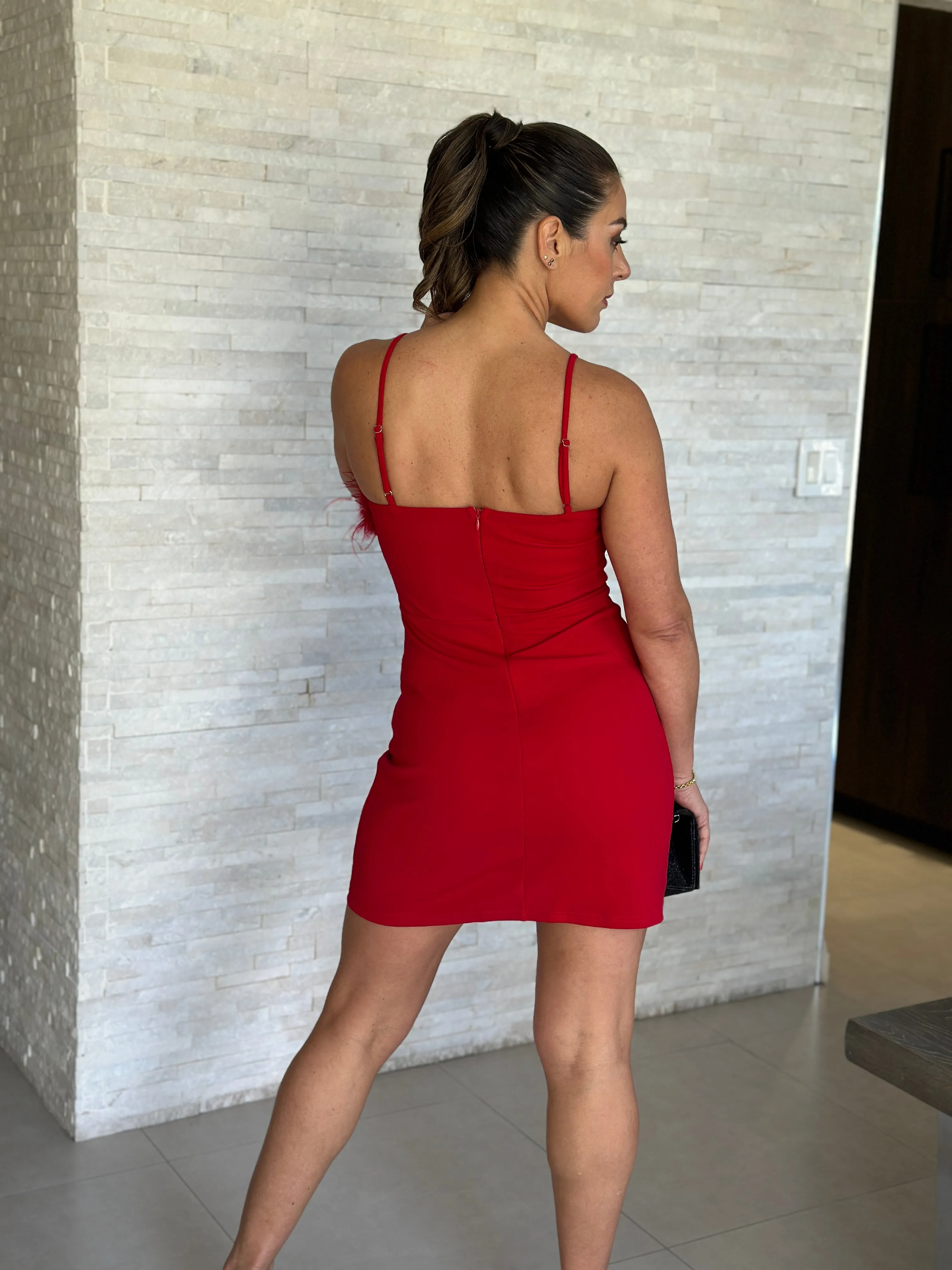 "Amaya" Sleeveless Feather Details Mini Dress