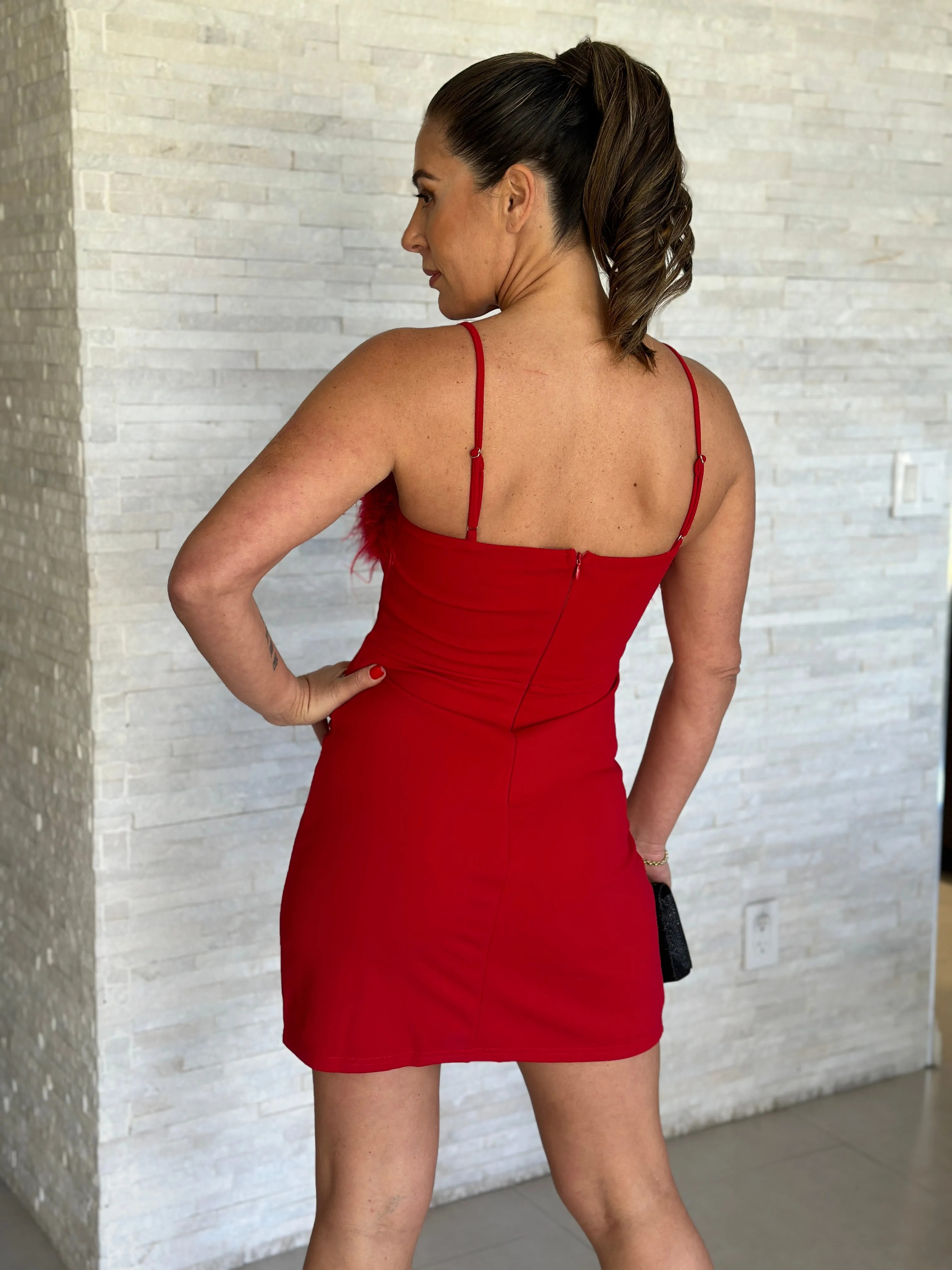 "Amaya" Sleeveless Feather Details Mini Dress