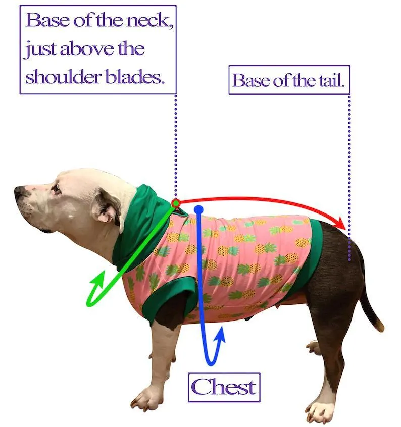 Special Feather Gala Dog Tutu Dress